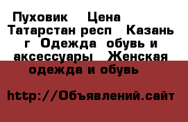 Пуховик  › Цена ­ 3 000 - Татарстан респ., Казань г. Одежда, обувь и аксессуары » Женская одежда и обувь   